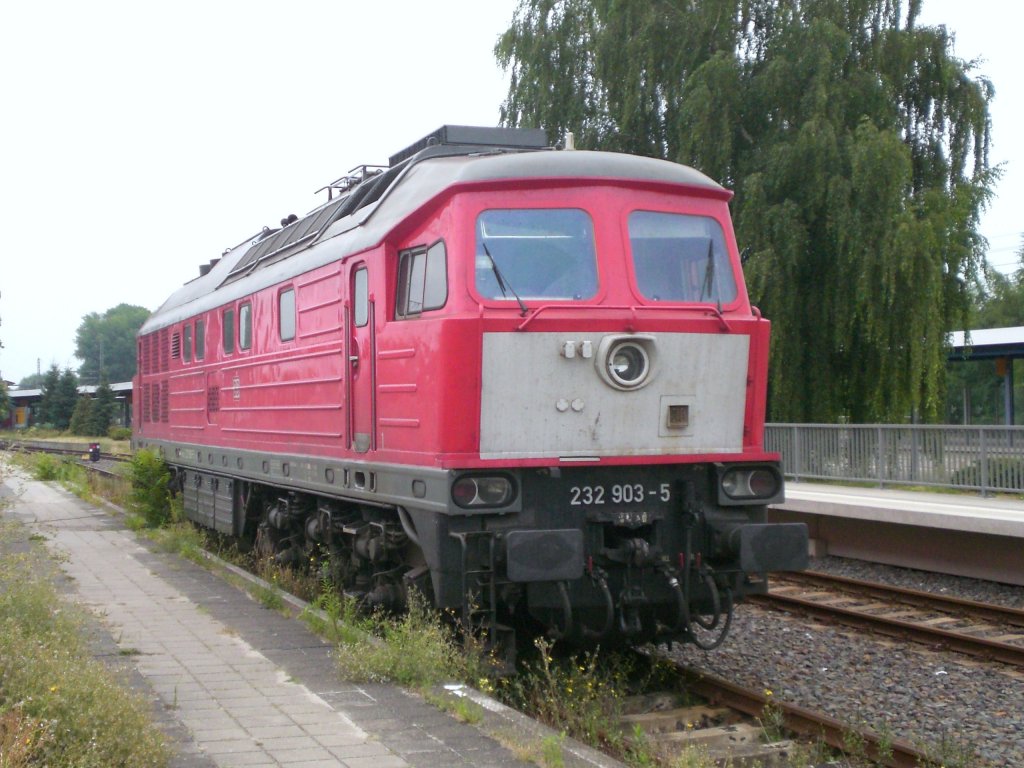 232 903 (ex 234 170) am 02.08.2010 in Brandenburg Hbf.