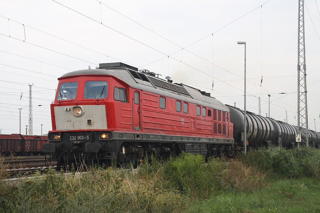 232 903 mit einem Kesselwagenzug am 06.08.2010 in Angerm�nde