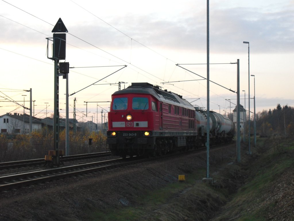 233 043-9 ist am abend des 20.11.10 in Reichenbach/V.oberer Bahnhof angekommen.