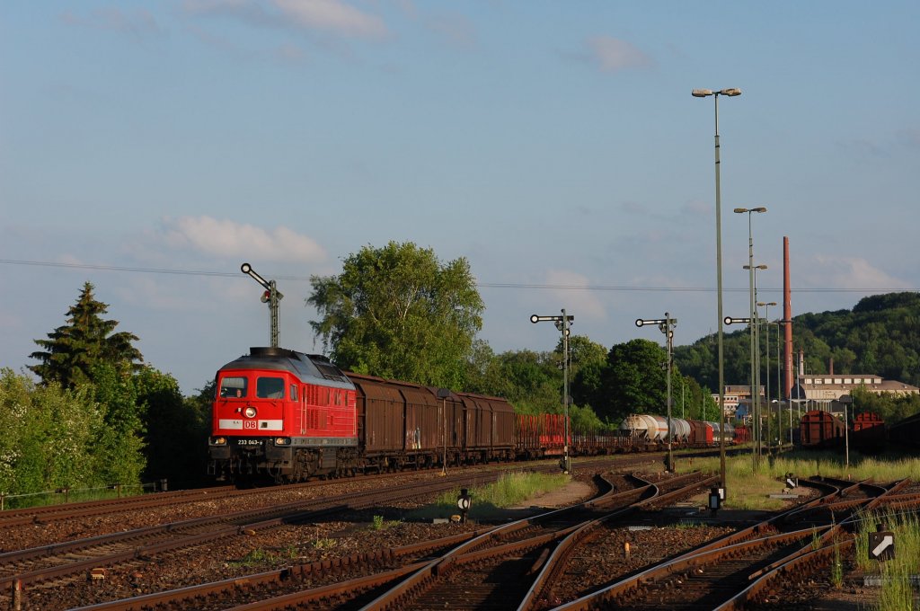 233 043 mit Umleitergterzug am 27.05.2010 in Luitpoldhtte