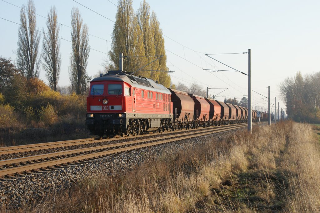 233 112 donnert mit einem Ganzzug durch
den Abzweig Seehof gen Magdeburg.
14.11.2012