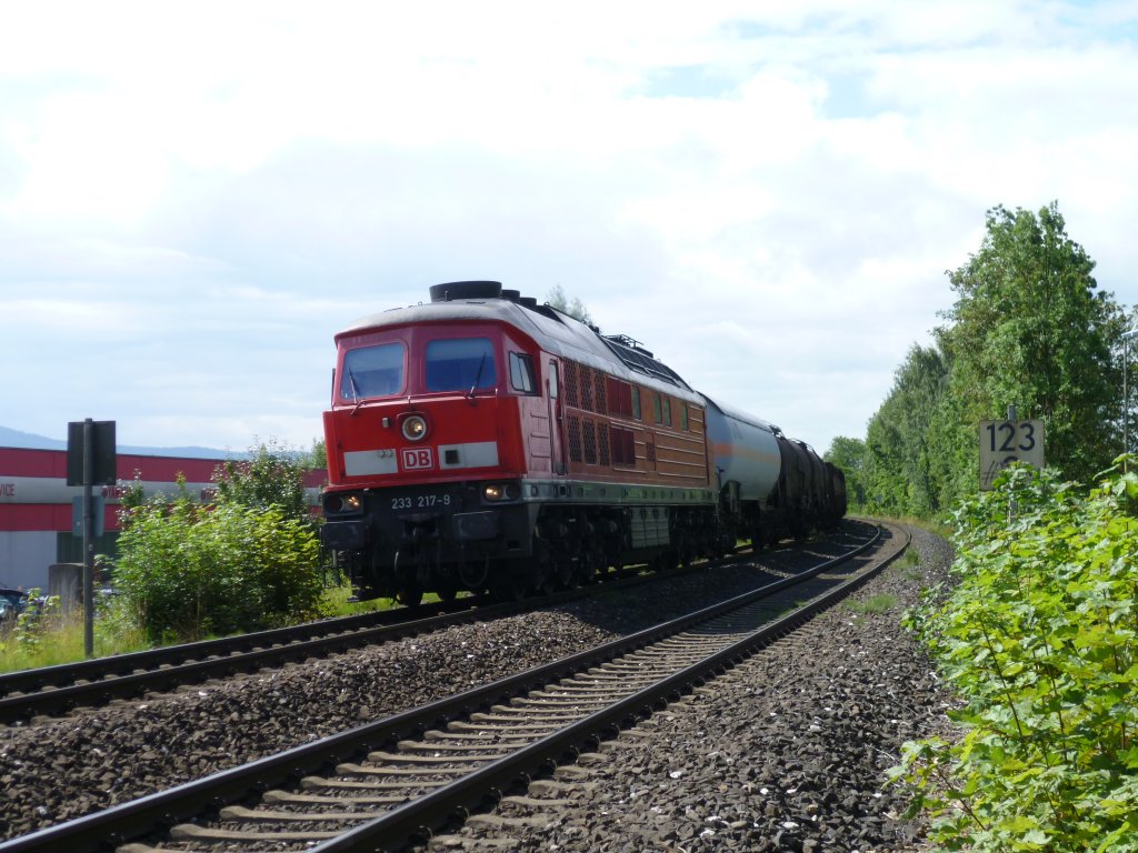 233 117-9 ist hier am 12.08.11 bei der Einfahrt in Marktredwitz zusehen, aus Richtung Nrnberg kommend.