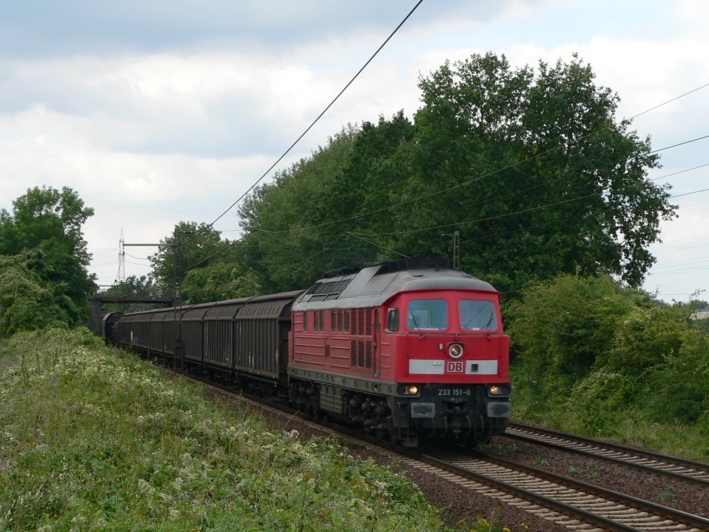 233 151-0 mit einem Gterzug in Ahlten, 14.8.2010