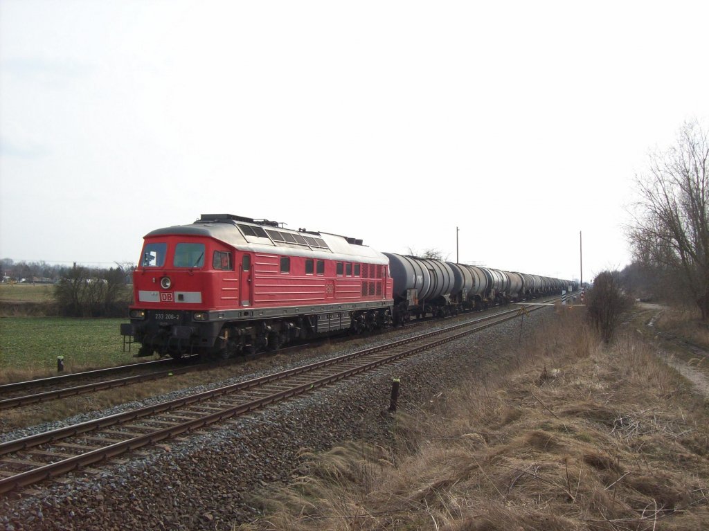 233 206-2 mit einem Kesselwagenzug fhrt in Richtung Leipzig zwischen Profen und Pegau 17.03.2010