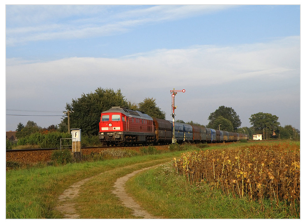233 206 mit 2300t Steinkohle am Haken beim Abzweig Srichen, 24.09.2010