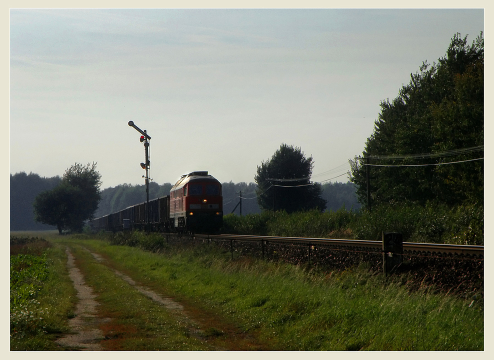 233 206 mit Kohleleerpendel auf dem Weg nach Horka beim Abzweig Srichen, 24.09.2010