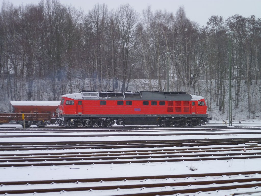233 217-9 bei der Ausfahrt am 17.01.13 in Marktredwitz Richtung Cheb.