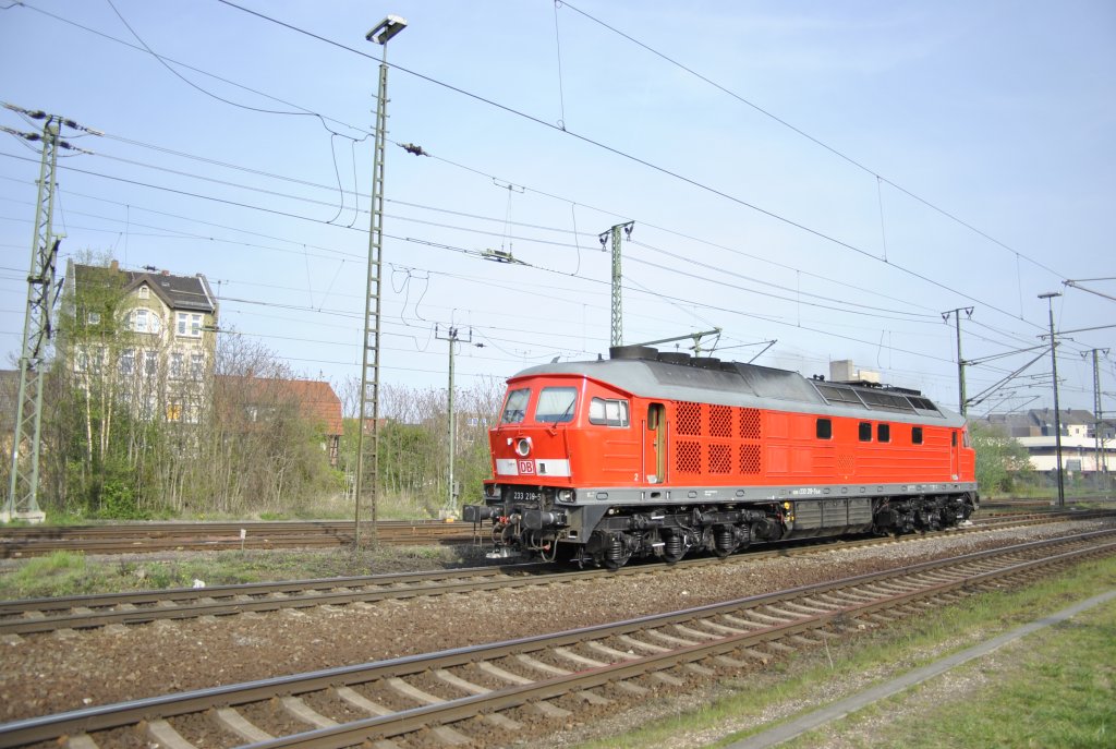 233 219-5, am 28.04.10 in Lehrte.