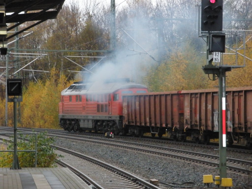 233 219-5 bei der Ausfahrt vom oberen Bahnhof in Reichenbach/V,am 03.11.09
