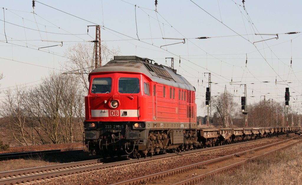 233 219-5 mit Schwerlastwagen der Bundeswehr am 07.03.2011 in Saarmund