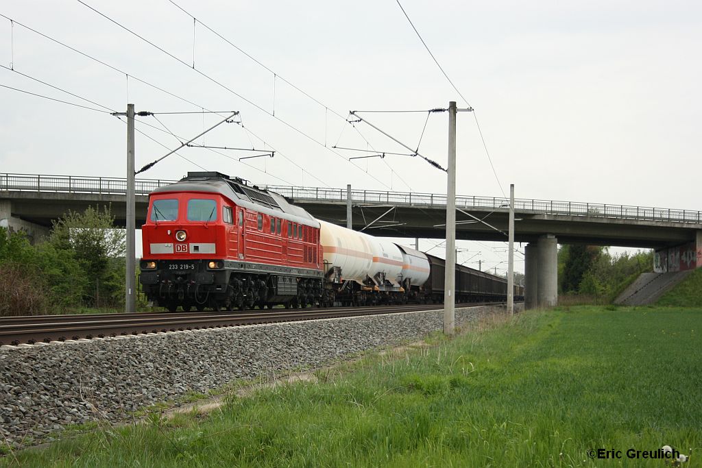 233 219 mit einem gemischten G�terzug am 8.5.10 bei Immensen-Arpke.