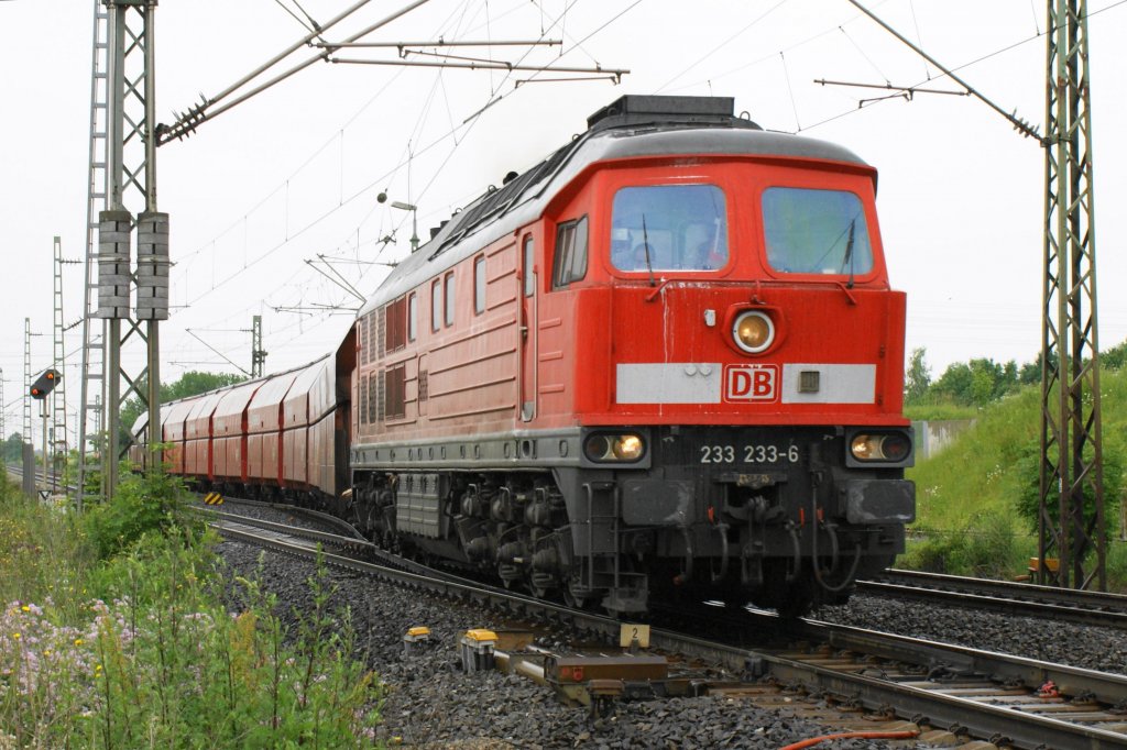233 233-6 in Iphofen am 17.06.2010 (Rene)