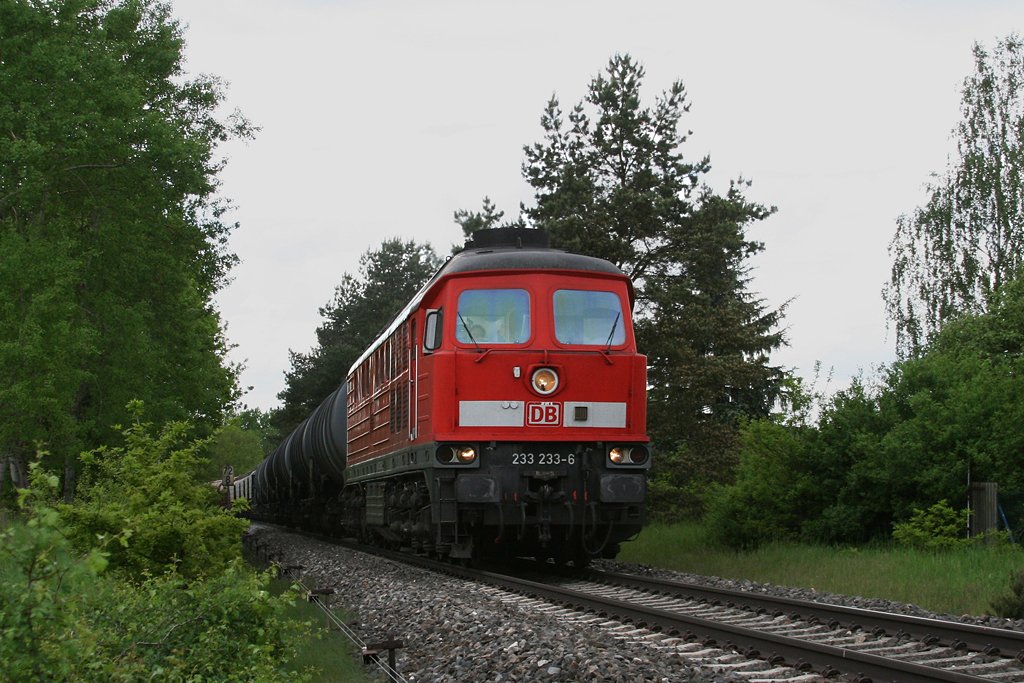233 233 mit einem Umleiter Gterzug am 28.05.2010 bei Hiltersdorf.