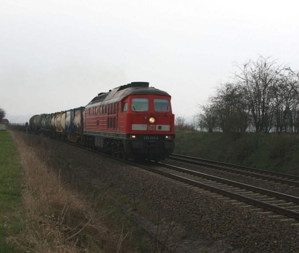 233 233 schleppt einen langen gemischten Gterzug durch`s Vogtland.Obermylau 14.04.2010.
