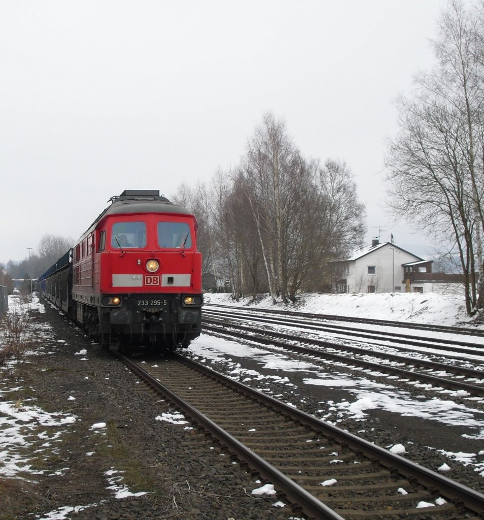 233 295-5 fuhr am 17.02.11 durch Neusorg, auf ihrer fahrt von Marktredwitz Richtung Nrnberg.