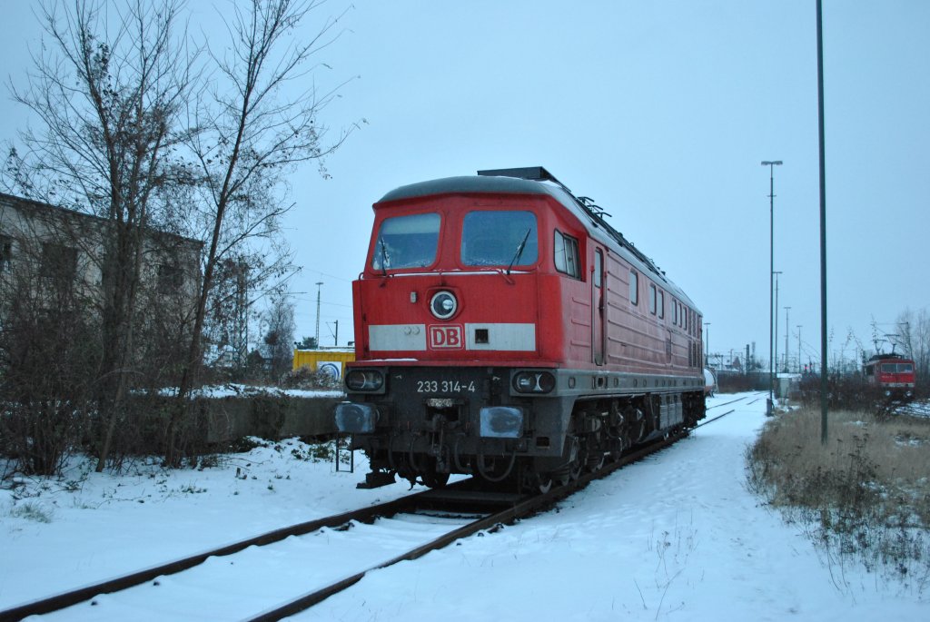 233 314-4, stand am 05.12.2010 Im Ex-BW Lehrte.