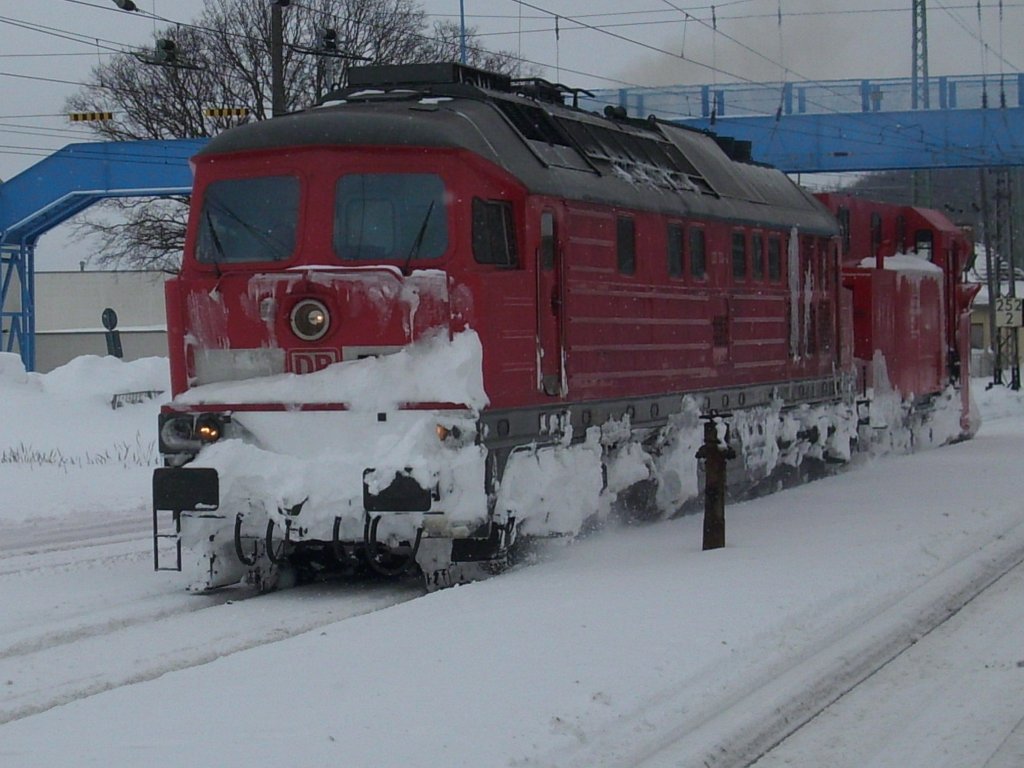 233 314 mit dem Schneepflug 80-80 970 5010-4 aus Arnstadt unterwegs am 13.Februar 2010 in Bergen/Rgen.