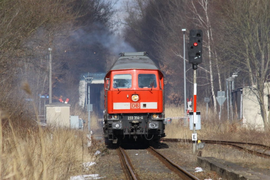 233 314 zieht hier den zweiten Militrtransportzug von der Bundeswehr in den Bahnhof Hagenow. 06.03.2010