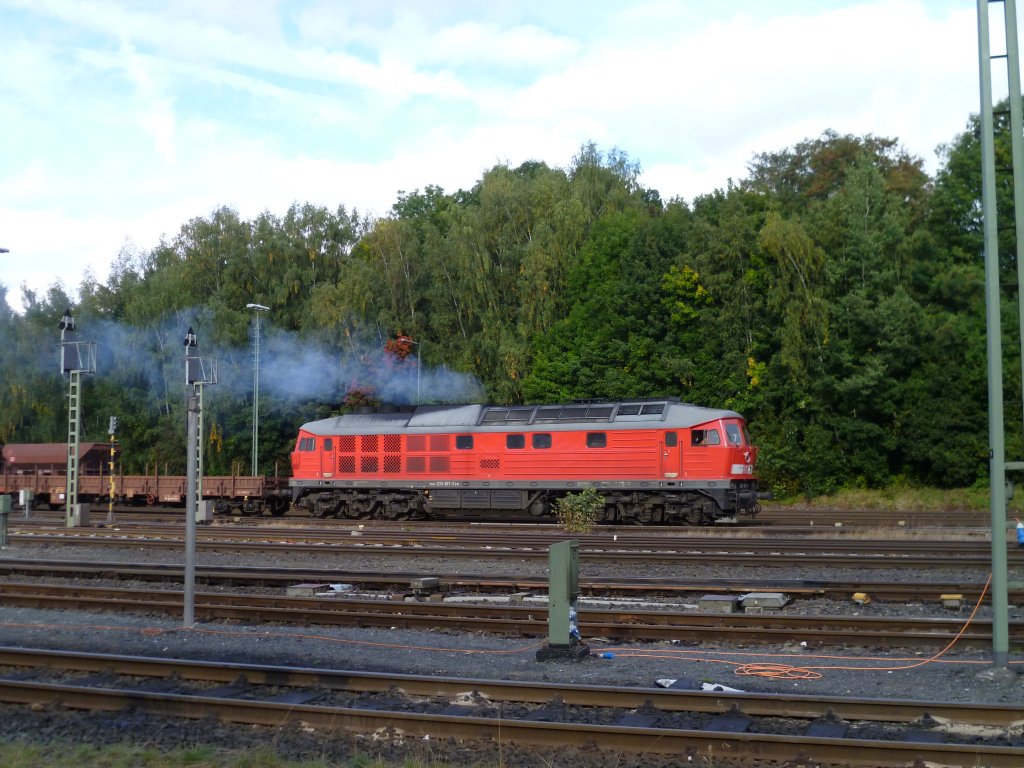 233 367-2 bei der Ausfahrt in Marktredwitz am 28.09.12.