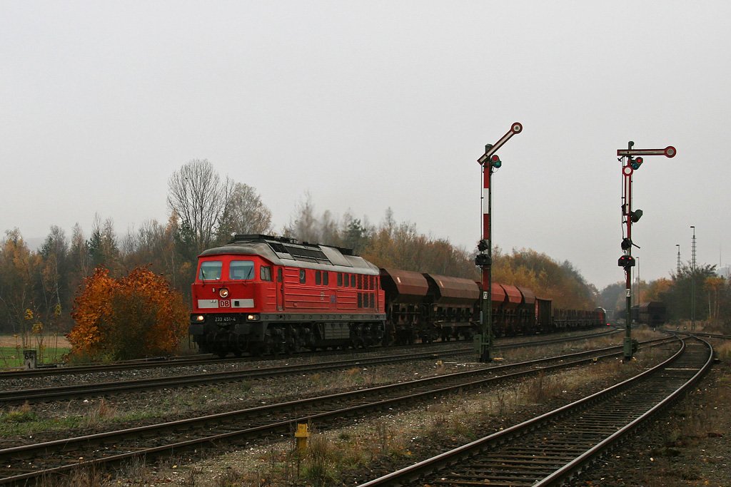 233 451 mit einem gemischten Gterzug nach Nrnberg am 06.11.2009 in Luitpoldhtte.