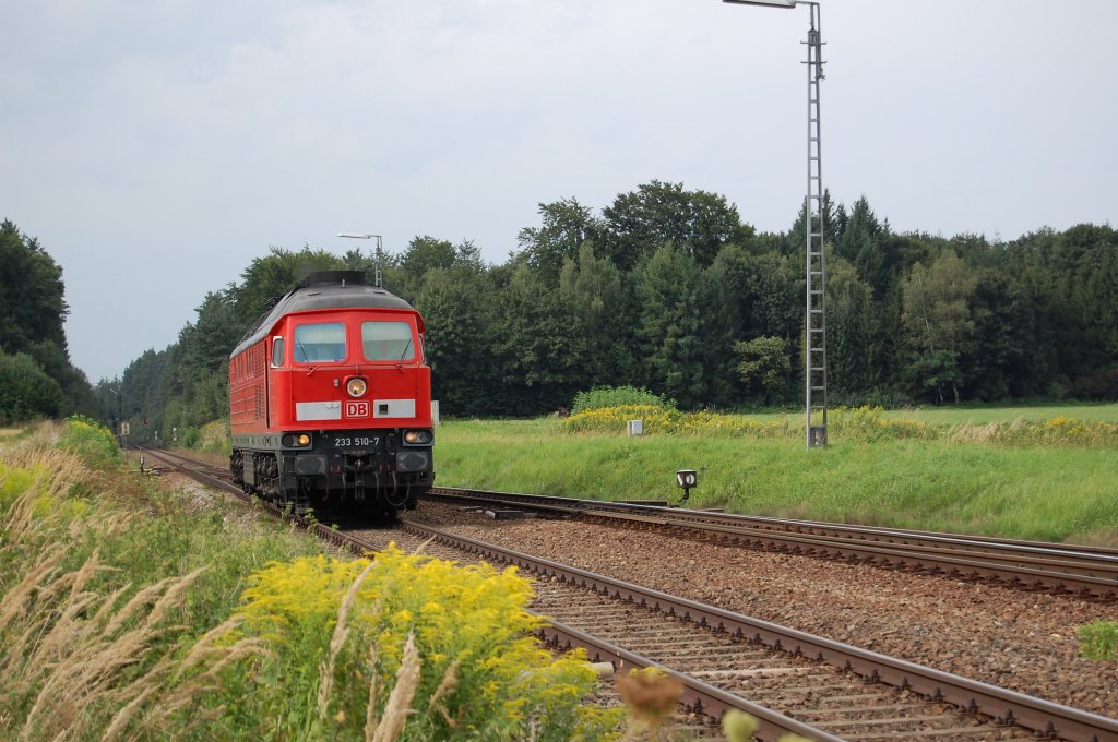 233 510-7 solo, bei der Einfahrt in den Bahnhof Tssling, 23.08.2010.