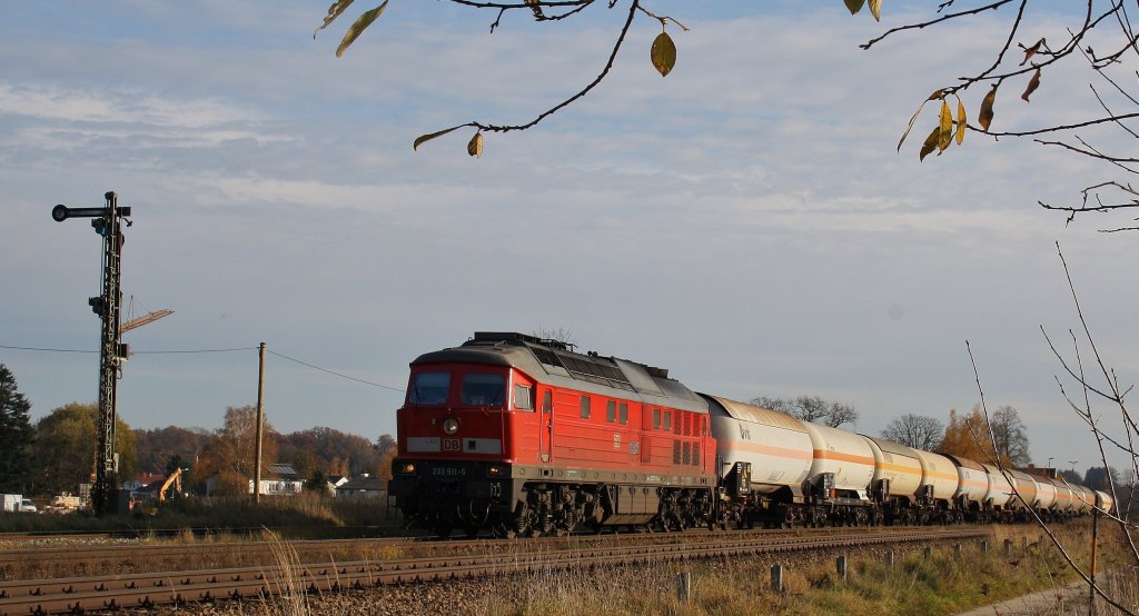 233 511 -5 mit einem Kesselzug am 03.11.2010 in T�ssling.
