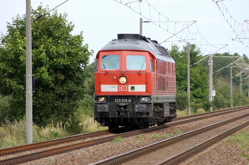 233 515-6 als LZ zwischen Brandenburg und Gtz. In Richtung Brandenburg Hbf. 20.08.2010