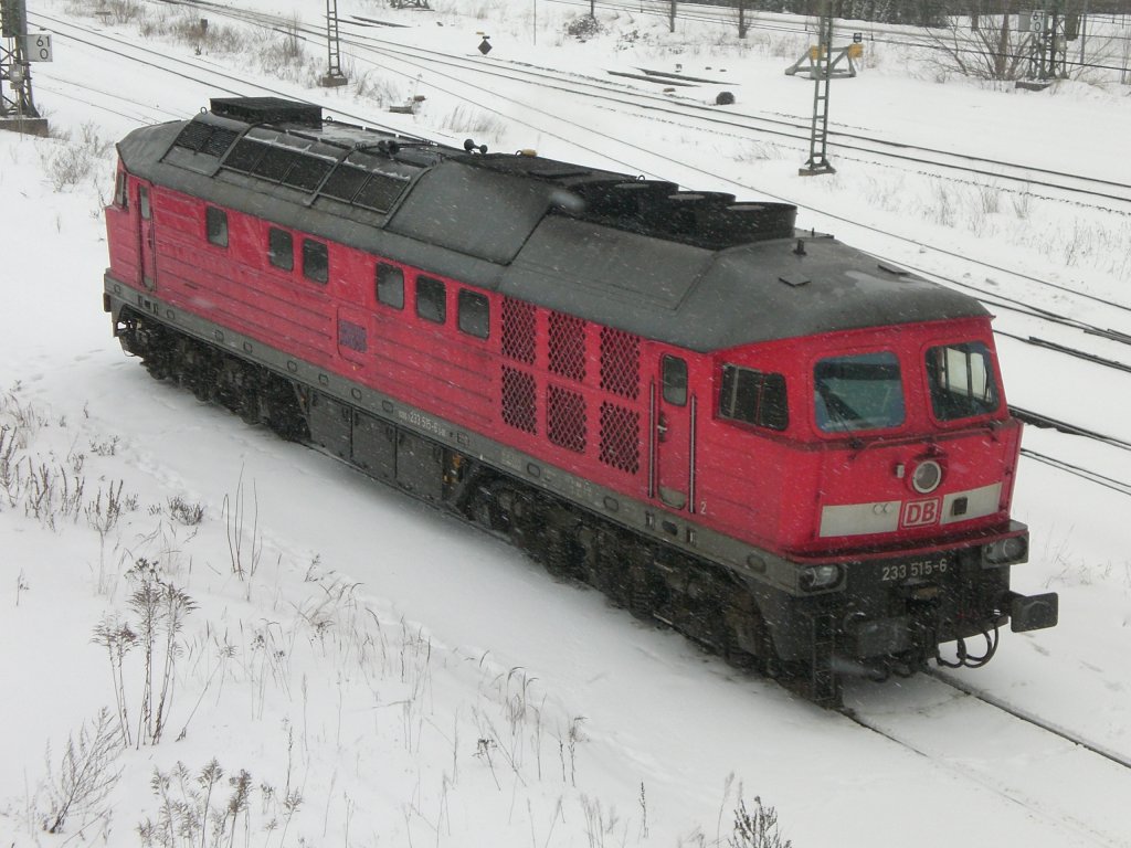 233 515 am 12.02.2010 in Brandenburg Hbf.