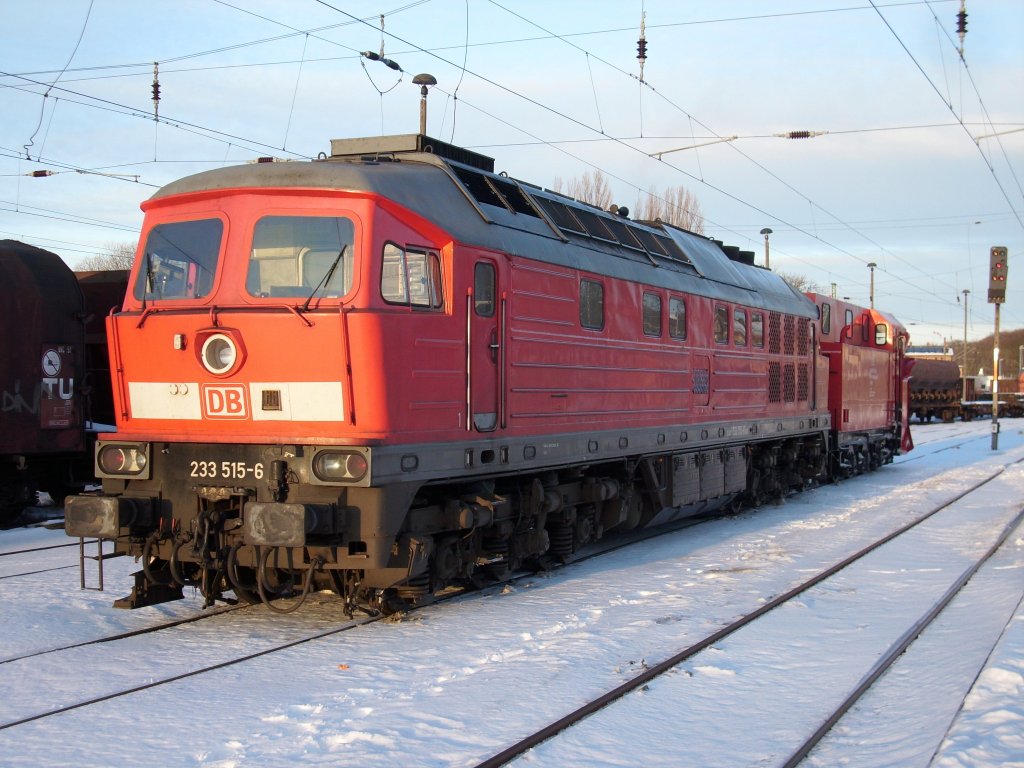 233 515 mit dem Schneepflug 80-80-970 5020-3 Standort:Angermnde,am 28.
Januar 2010,in Bergen/Rgen.