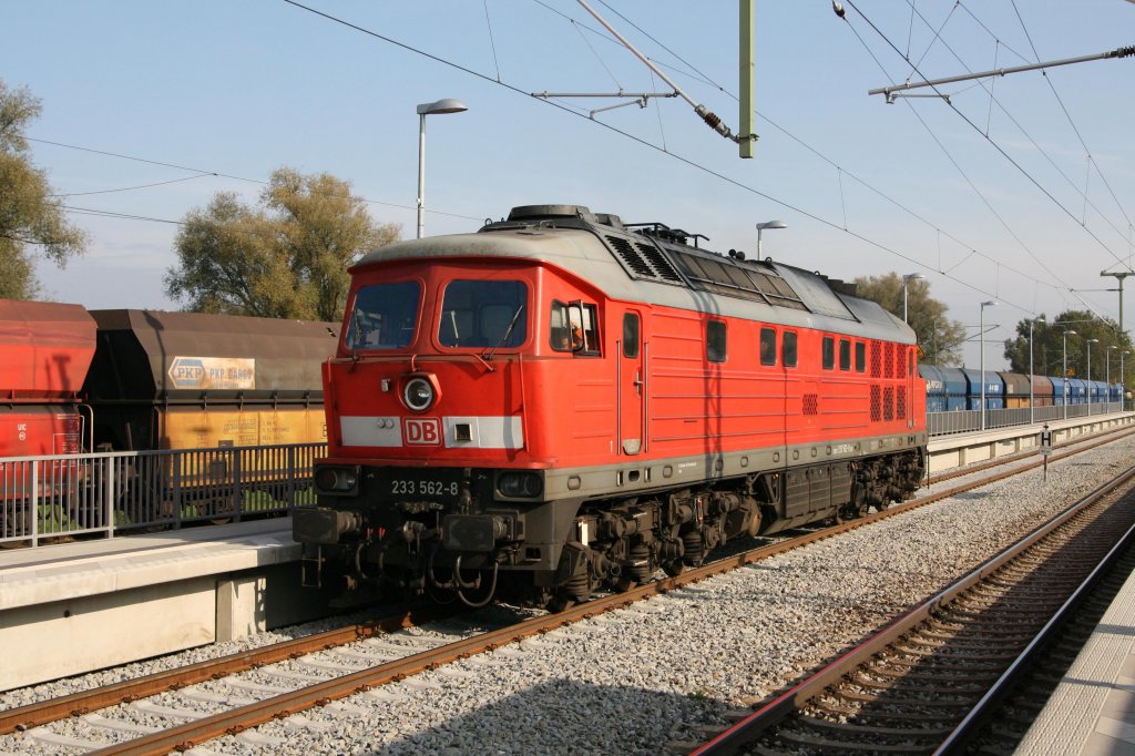 233 562-8 beim Umsetzen in Langenbach (Oberbay) am 05.10.11.
