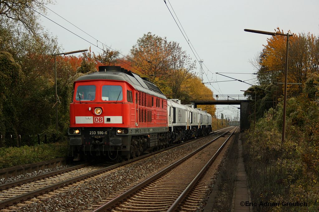 233 596 mit 247 007+049+054+056 am 30.10. in Ahlten.