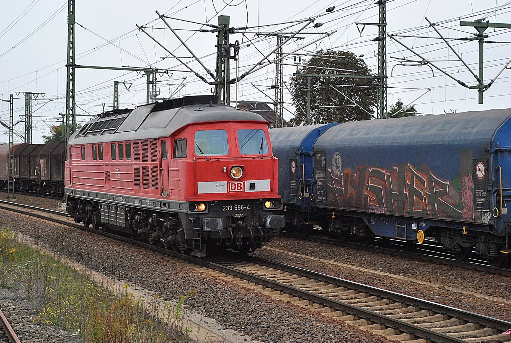 233  696-4, fhrt Solo in Lehrte am 25.09.2010 ein.