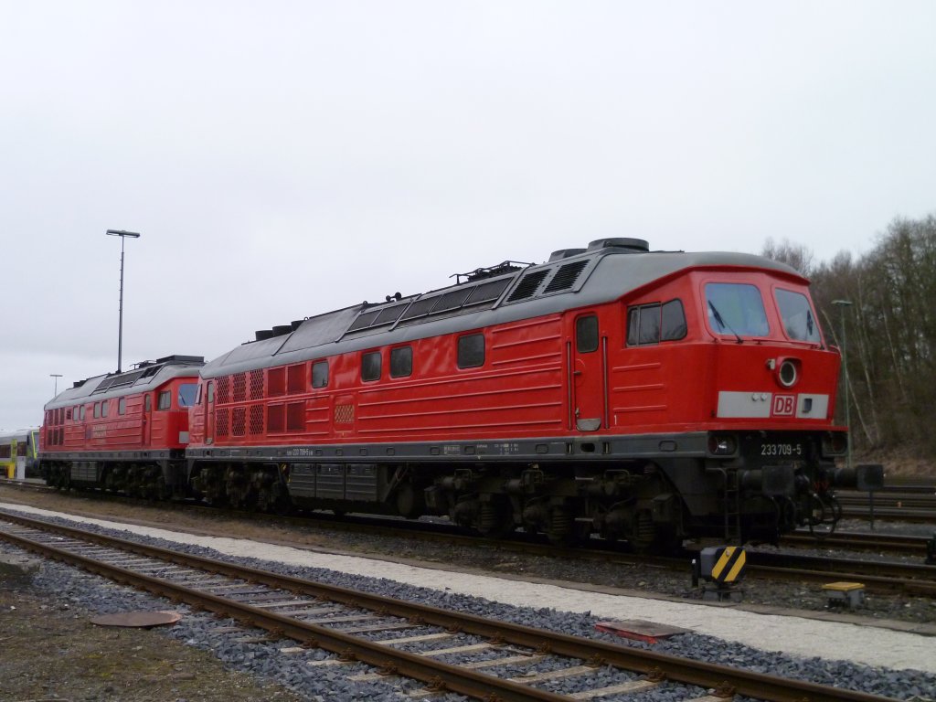233 709-5 und 232 527-2 standen am 13.03.12 in Marktredwitz.
