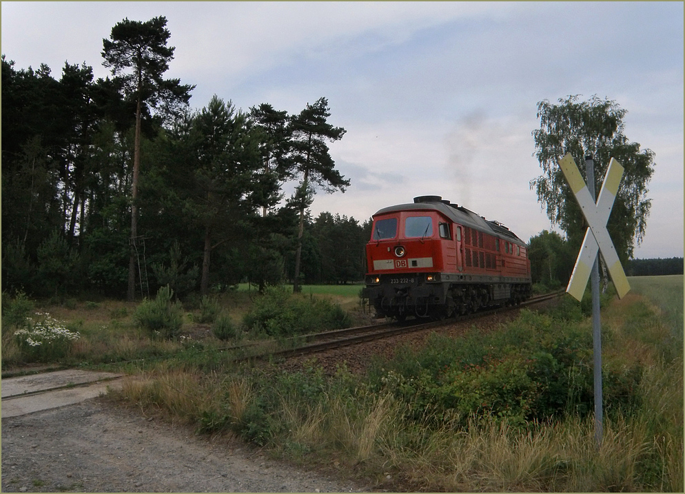 233 auf der Anschlussbahn bei Strassgrbchen, 2012