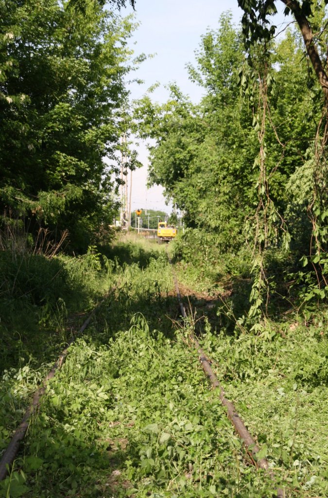 23.5.2012 Bernau bei Berlin, Anschlu Sd. Die abgetrennten Gleise wurden zur Anfahrt durch den 2WegeBagger benutzt. (Bau von Kabelschchten fr neues S-Bahn Gleisrichterunterwerk) Dadurch wurden das Gleis wieder erkennbar.
