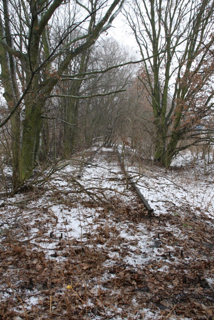 24.2.2013 Oderbruchbahn zwischen Gro Neuendorf (Blickrichtung) und Kienitz Amt. Auf ca 200m liegen noch Gleise.