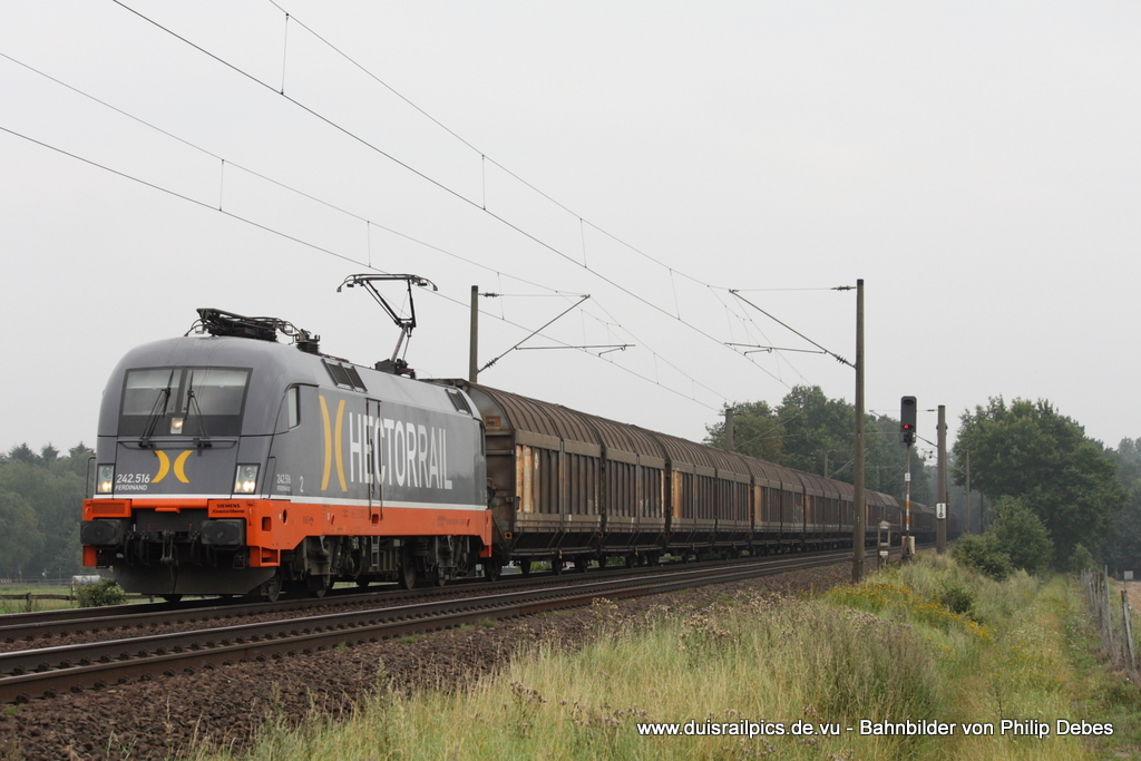 242.516 (Hectorrail - Ferdinand) fhrt am 4. August 2011 um 16:09 Uhr mit einem Gterzug durch Reindorf