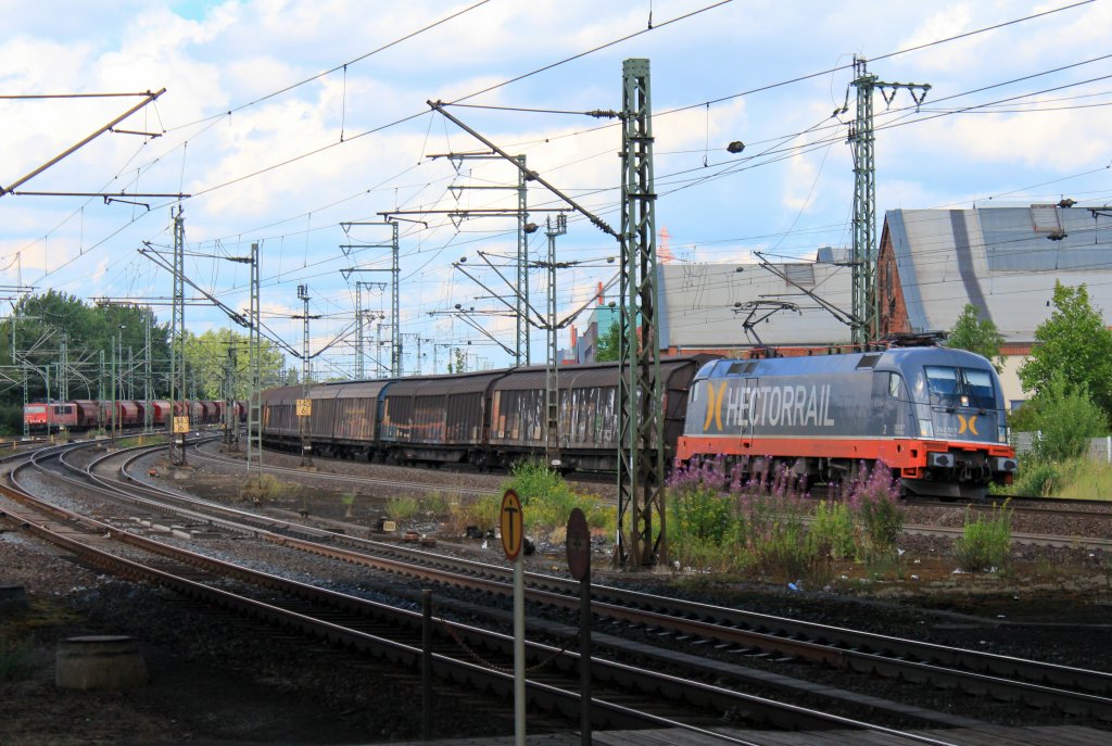 242.517 mit einem gemischten Gterzug am 31. Juli 2013 in HH-Harburg.