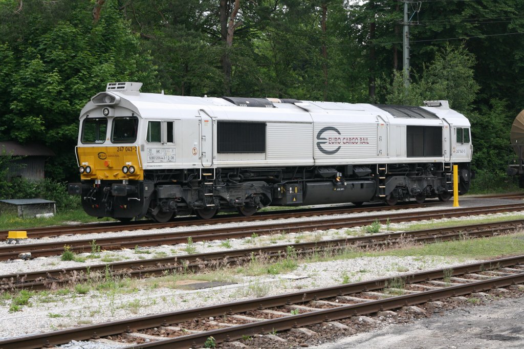 247 043-3 wurde am 09.06.11 im Bahnhof von Kastl gesichtet.