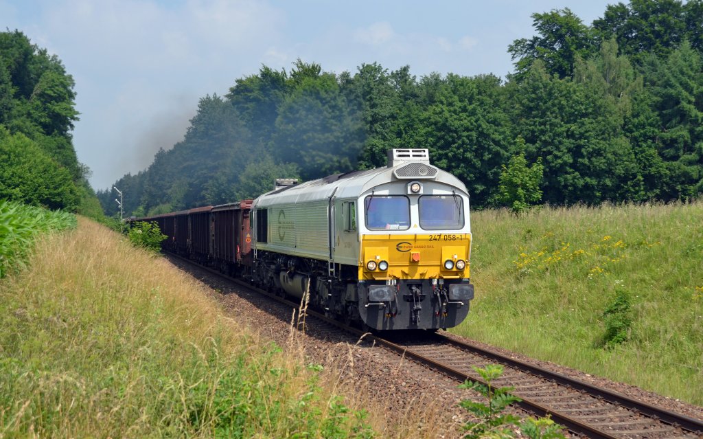 247 058 durchfhrt mit einem gemischten Gterzug am 04.07.12 Tling Richtung Wackerwerk.