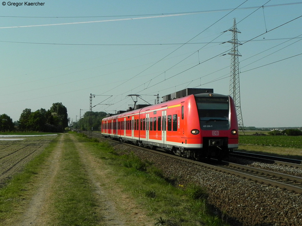 25.04.2011: 425 255-7 unterwegs als RB 38867 (Biblis-Mannheim). Aufgenommen bei Lampertheim.
