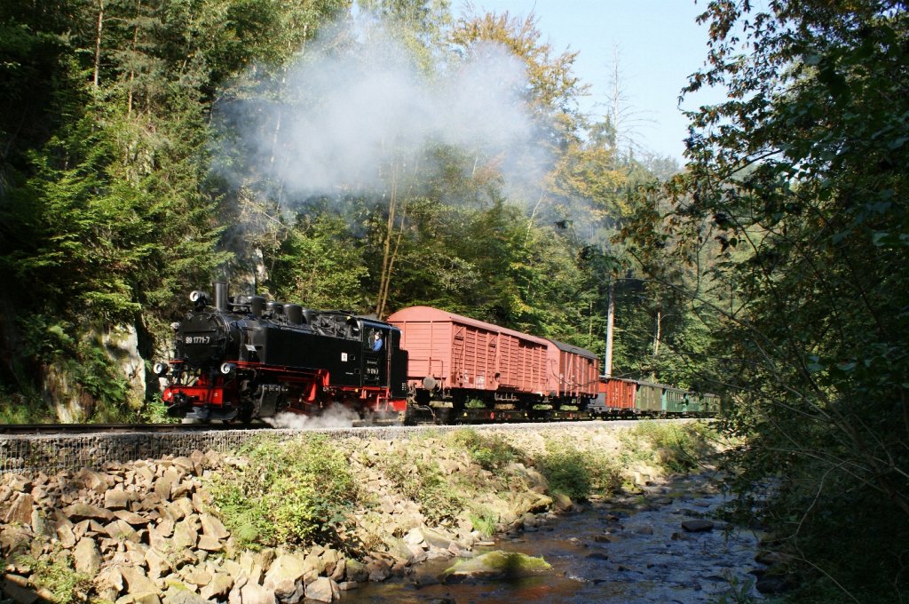 25.09.2011, 99 1771-7, Sonderfahrt mit GmP der IG Weieritztalbahn e.V., hier eine Scheindurchfahrt bei km 6 im Spechtritzgrund --an dieser Stelle einen groen Dank an die IG um den Vorsitzenden, Hrn. Kempe, es war eine groartige Veranstaltung--