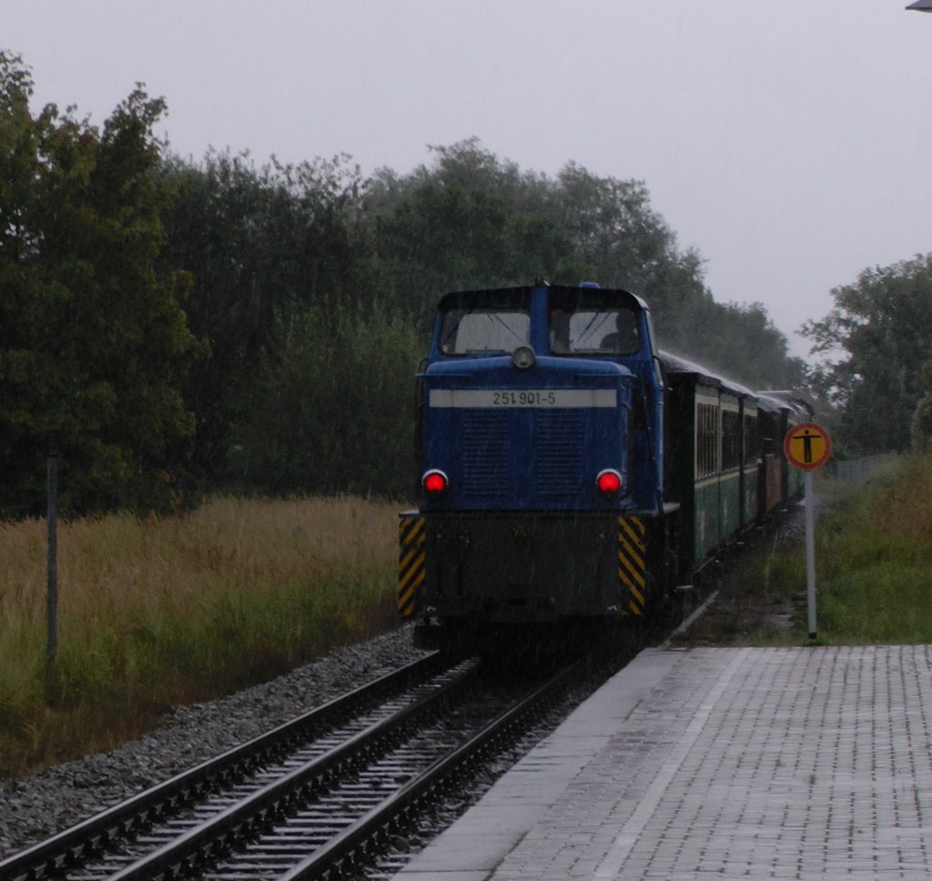 251 901 - 5 muss hier noch nichts tun , denn  gegen 13:17 Uhr ist der Zug P 104 an diesem Starkregentag noch auf dem Wege nach Lauterbach Moole.Sie luft am Zugschlu.
Erst auf der  Rckfahrt nach Puttbus wird  sie den Personenzug ziehen, da keine Rangiermglichkeiten  in Lauterbach Moole bestehen.Aufgenommen am 30.08.12 aus einer supermodernen Wartehalle des Halterpunktes Lauterbach, der vom Raseneden Roland nicht bedient wird. Abder die Bildqualitt ....., der Camcorder hat hier doch Probleme und er hat keie Sonnen, oder besser Regenblende, stndiges Beschlagen der Linse. Ablehnung ??