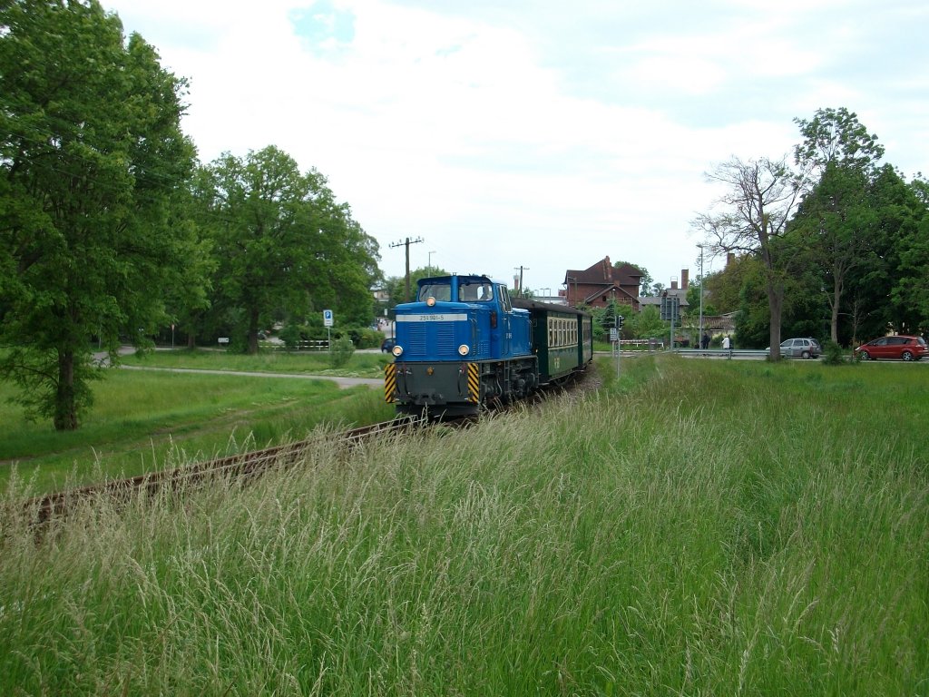 251 901 im Einsatz am 12.Juni 2010 bei der Ausfahrt aus Lauterbach.