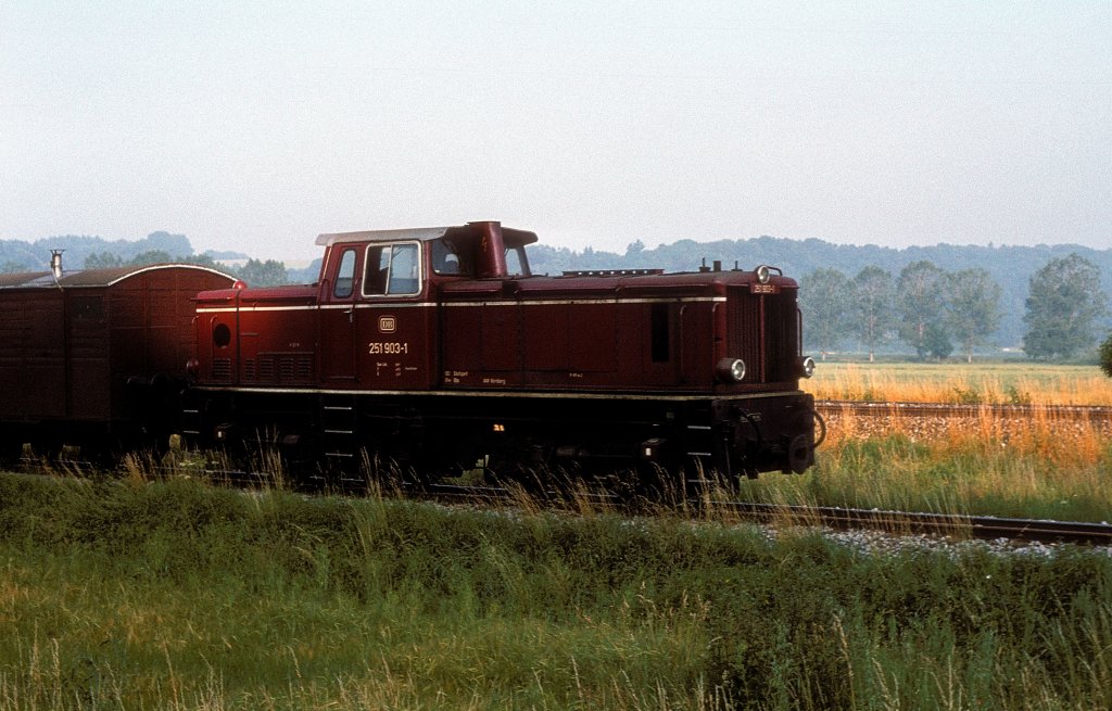 251 903  bei Warthausen  13.07.82