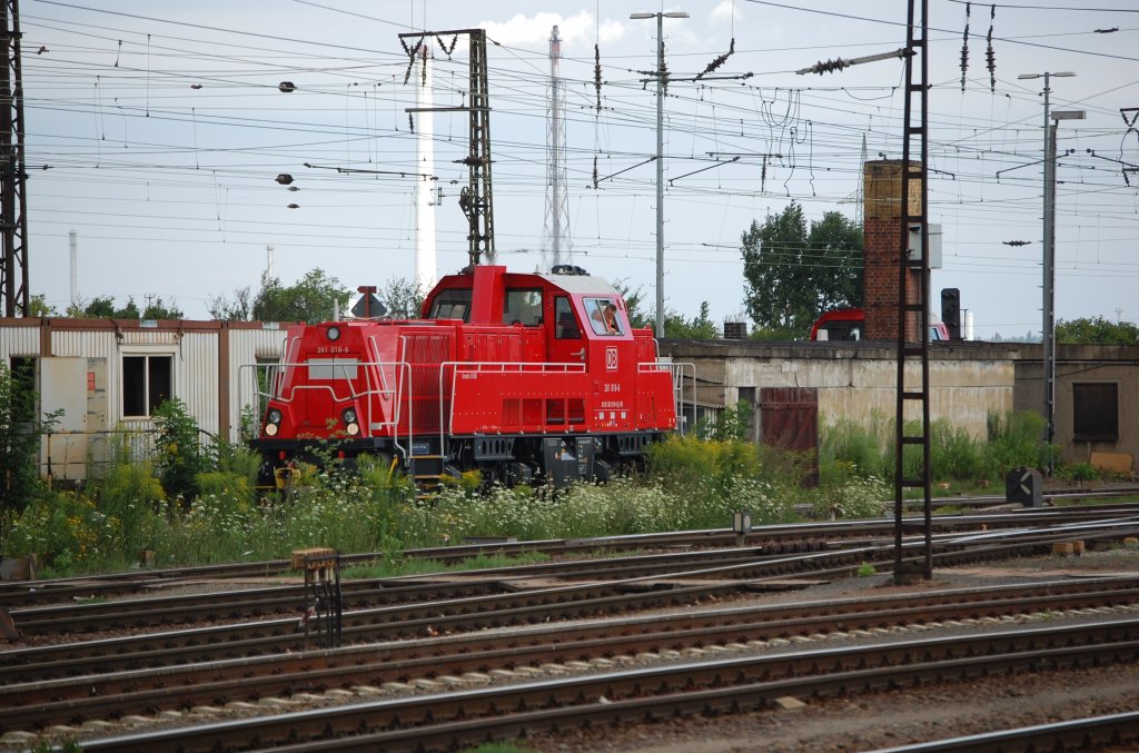 261 018-6 versuchte sich etwas hinter dem hohen Gras zu verstecken, was aber nicht gelang. Ihr Schwester hinter dem Schonstein, machte es da schon besser. 15.07.2011, Grokorbetha