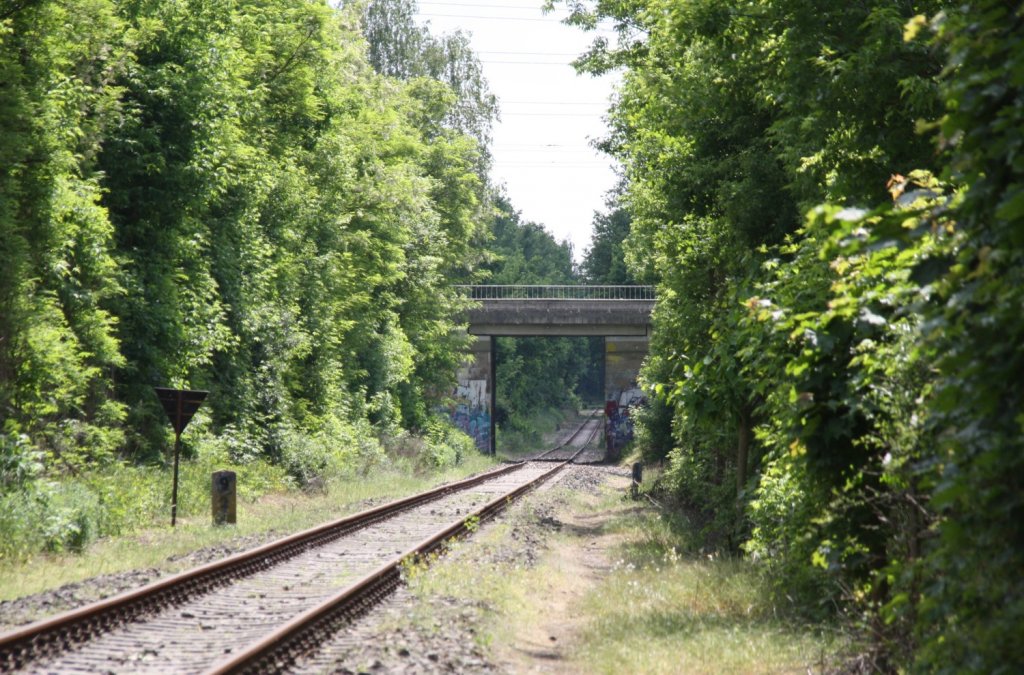 27.5.2012 Niederbarnimer Eisenbahn, km 9.1 - Unterf�hrung Berliner Aussenring.
