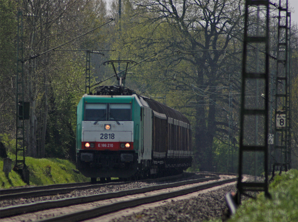 2818 der COBRA mit einem Umleiter aus Aachen-West Richtung Kln aufgrund einer Streckensperrung bei Kln-Ehrenfeld (PU) am Km 25.8 der KBS485 bei Geilenkirchen, 28.4.10