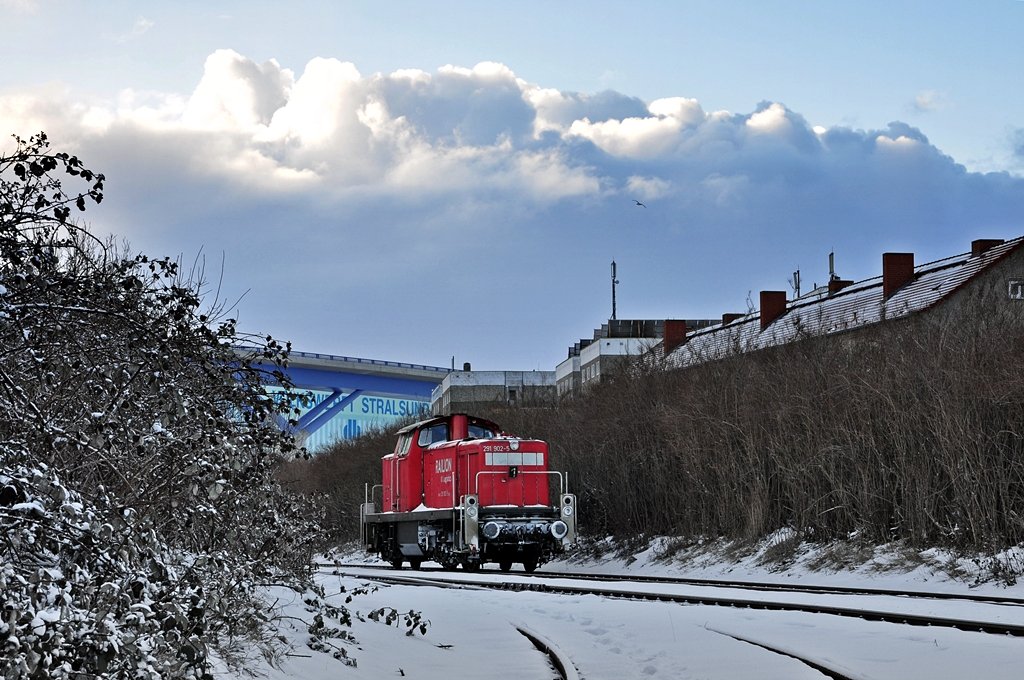 291 902 abgestellt in der Stralsunder Hafenbahn am 06.03.2010