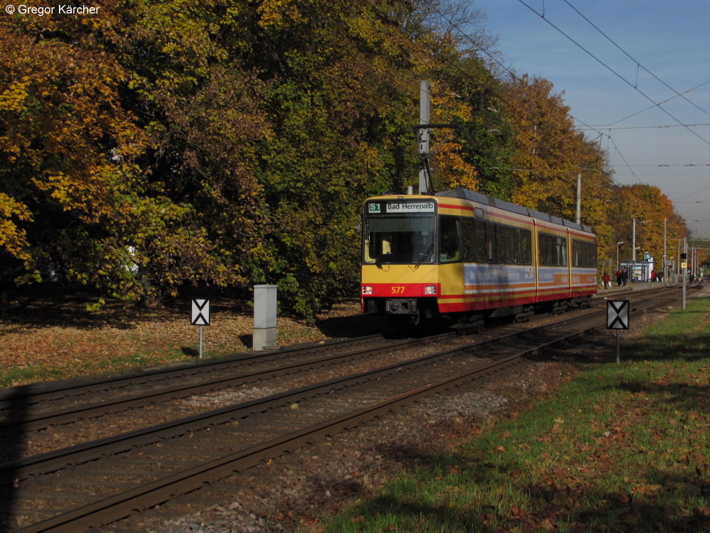 29.10.2010: TW 577 mit Werbung der Kombilsung als S1 nach Bad Herrenalb. Aufgenommen zwischen den Stationen Dammerstock und Schlo Rpurr.